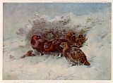 Grouse Sheltering by Archibald Thorburn